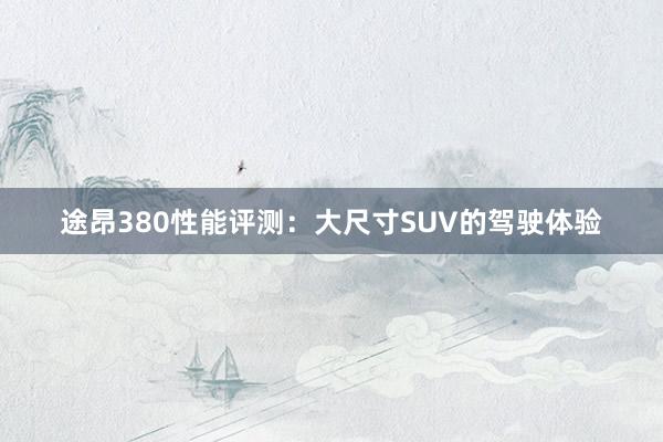 途昂380性能评测：大尺寸SUV的驾驶体验