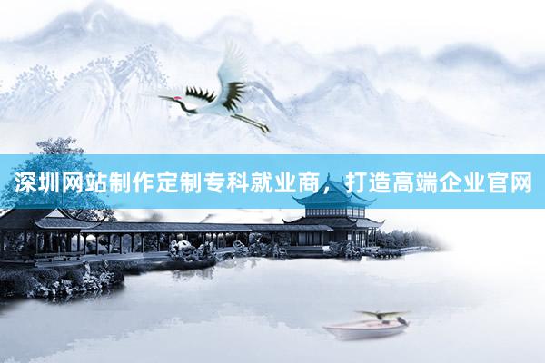 深圳网站制作定制专科就业商，打造高端企业官网