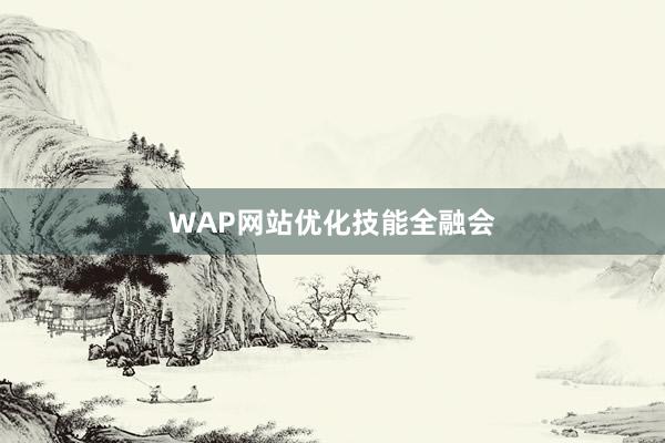 WAP网站优化技能全融会